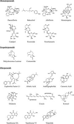 Evolving Roles of Natural Terpenoids From Traditional Chinese Medicine in the Treatment of Osteoporosis